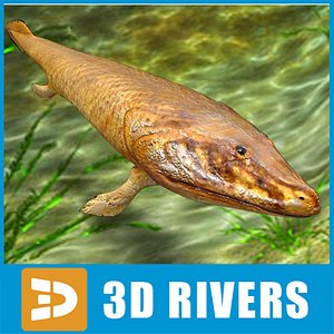 maya tiktaalik prehistoric fish