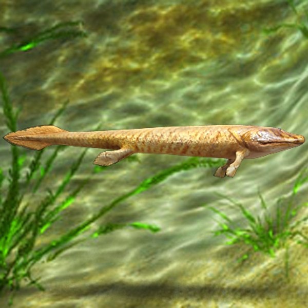 maya tiktaalik prehistoric fish