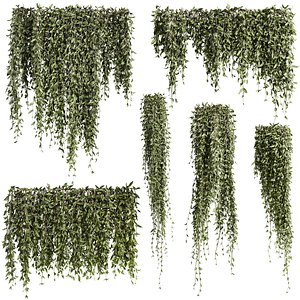3D model ivy plants