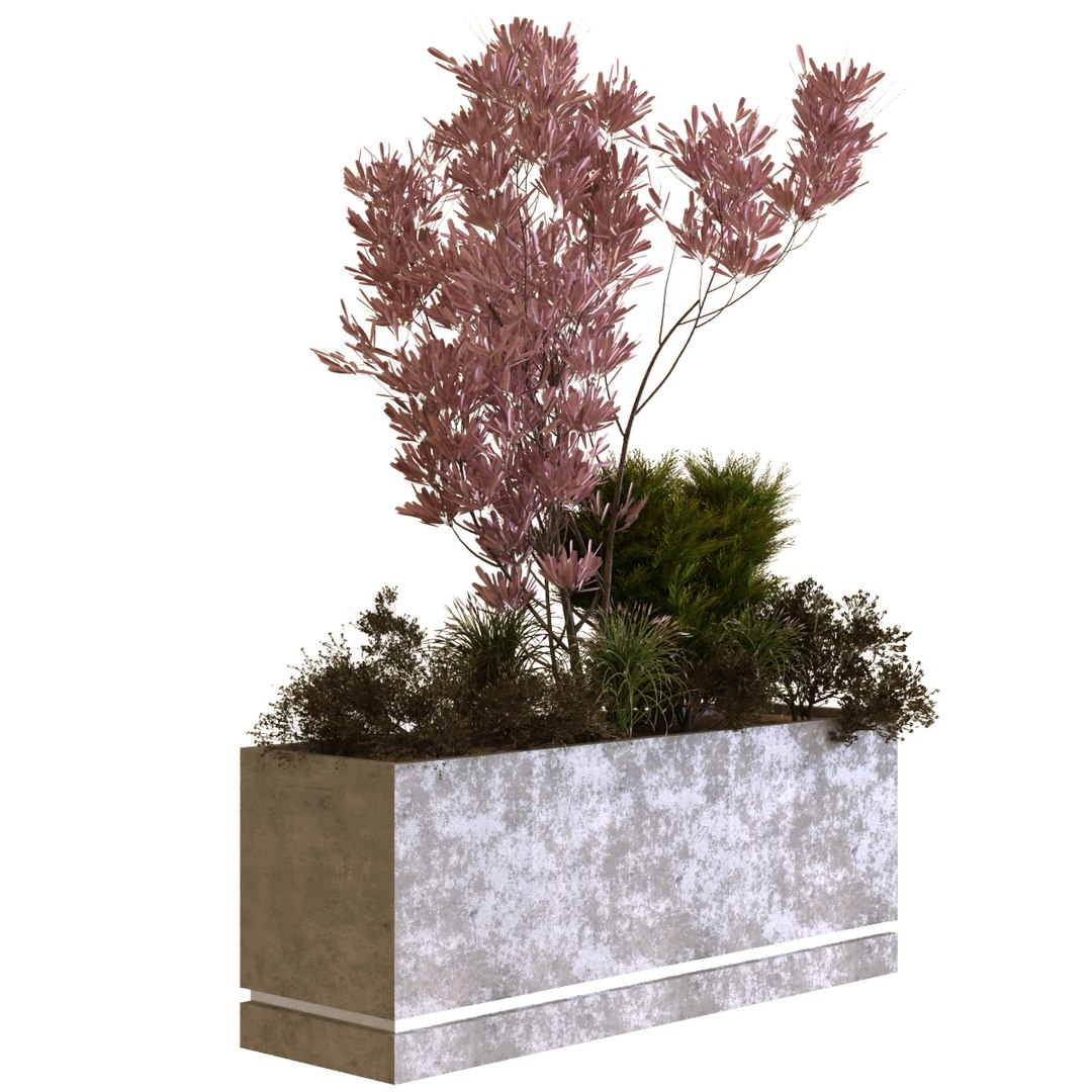 3D plants box set 10 https://p.turbosquid.com/ts-thumb/s8/m25NEV/0p/2/jpg/1625294380/1920x1080/fit_q87/cc93d209052777d5b90b59804b217c63d21a50c6/2.jpg