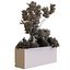 coffret plantes 10