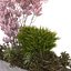 coffret plantes 10