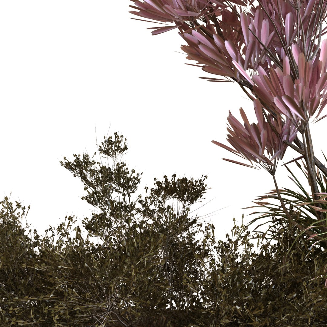 3D plants box set 10 https://p.turbosquid.com/ts-thumb/s8/m25NEV/KG/4/jpg/1625294402/1920x1080/fit_q87/11012d44e2a806306f01ef2adc65ae7cea72b34c/4.jpg