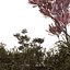coffret plantes 10