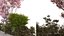 coffret plantes 10