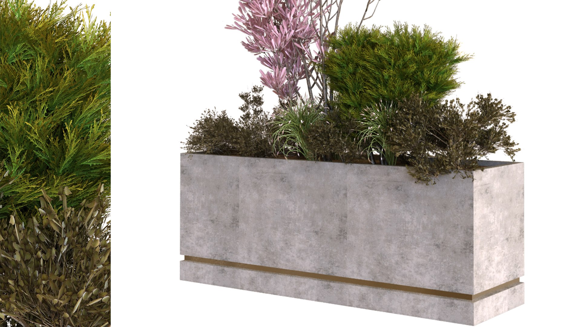 3D plants box set 10 https://p.turbosquid.com/ts-thumb/s8/m25NEV/Yi/d/jpg/1625294326/1920x1080/fit_q87/90b6fe69cb9f01b6b6b9820bff7e4954280c3edd/d.jpg