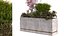 coffret plantes 10