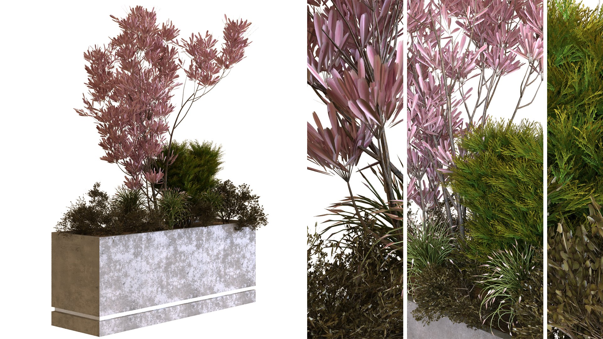 3D plants box set 10 https://p.turbosquid.com/ts-thumb/s8/m25NEV/dx/e/jpg/1625294357/1920x1080/fit_q87/e50020fb947b94a51a5b02b57844a93ac66060a1/e.jpg