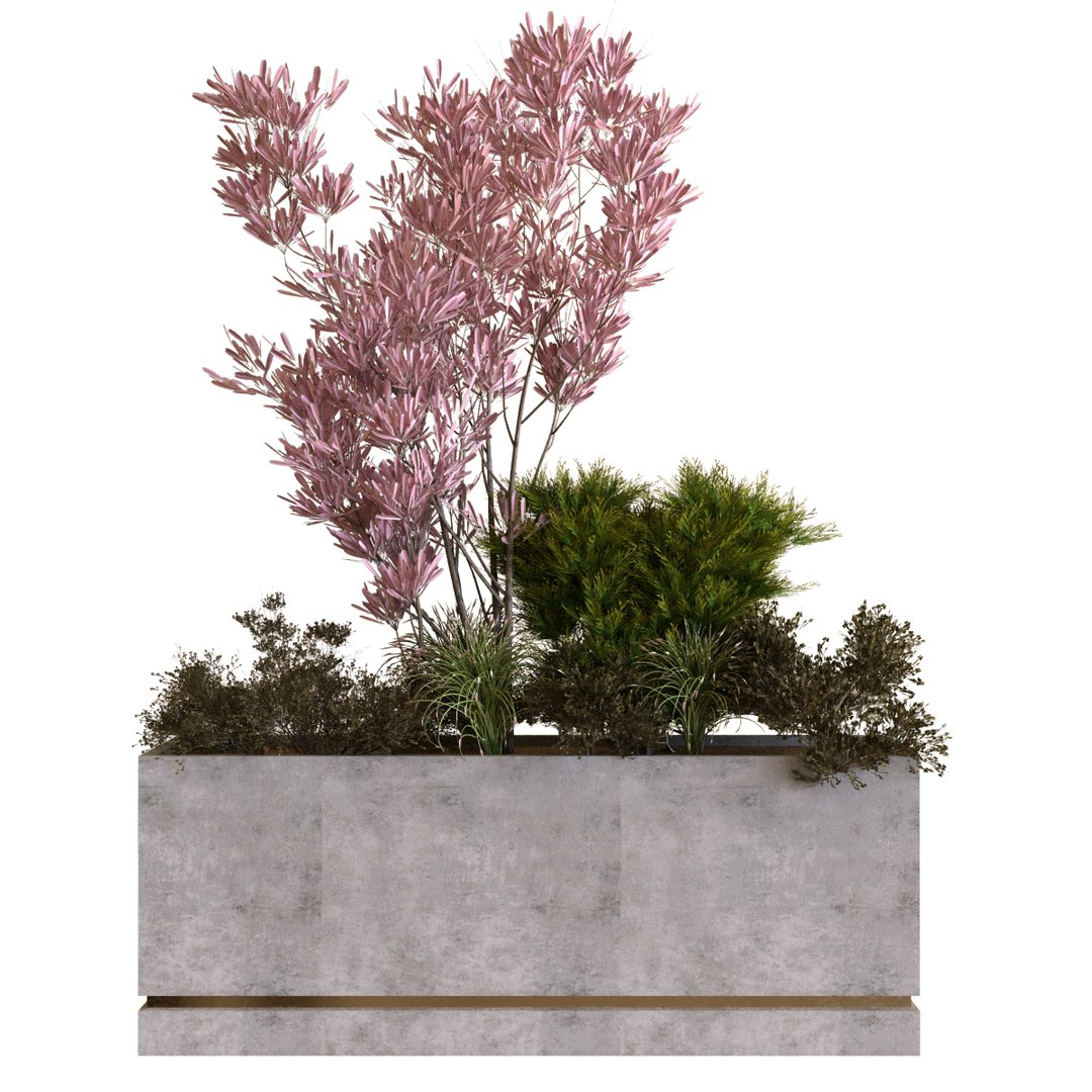 3D plants box set 10 https://p.turbosquid.com/ts-thumb/s8/m25NEV/kr/1/jpg/1625294383/1920x1080/fit_q87/57c1e1dc9c9d12c43470d6d44e2bdeee88915942/1.jpg