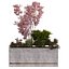 coffret plantes 10