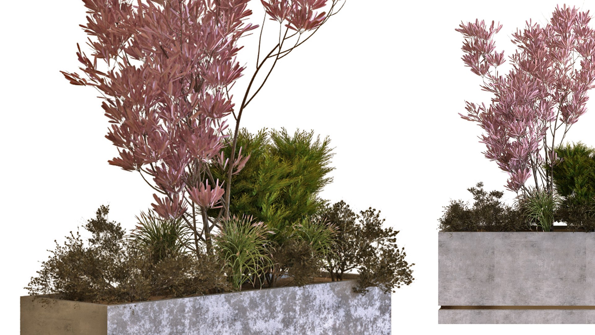 3D plants box set 10 https://p.turbosquid.com/ts-thumb/s8/m25NEV/w6/b/jpg/1625294323/1920x1080/fit_q87/6c326e10f8999acf62f2662b5e015c7316cf8cb1/b.jpg