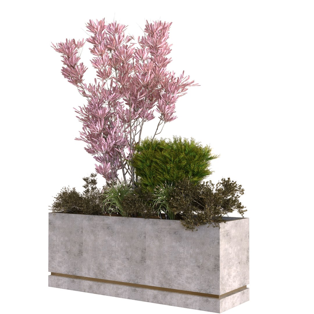 3D plants box set 10 https://p.turbosquid.com/ts-thumb/s8/m25NEV/zd/3/jpg/1625294370/1920x1080/fit_q87/085facf0dc21be276e57d98b062ebf01e91e9e73/3.jpg