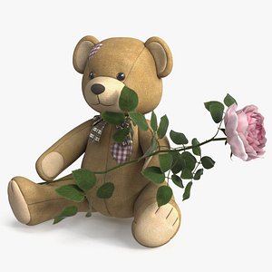 Teddy Bear Plush Toy with Rose Pink