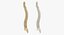 Human Spine Bones Collection 01 - 4 models