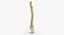 Human Spine Bones Collection 01 - 4 models