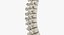 Human Spine Bones Collection 01 - 4 models