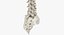 Human Spine Bones Collection 01 - 4 models
