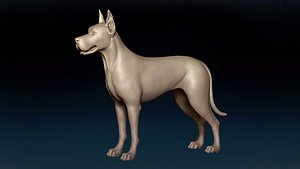 Great Dane Base Mesh 3D model
