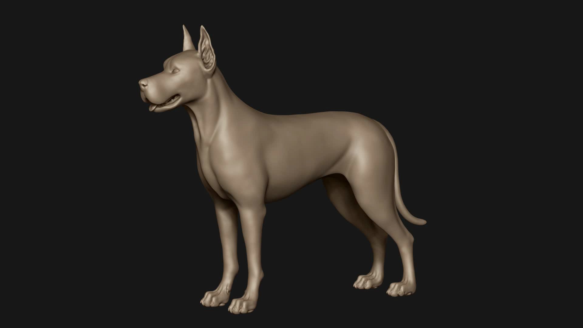 3D Great Dane Base Mesh 3D Model - TurboSquid 1863573