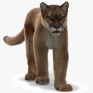 Puma Animated Fur