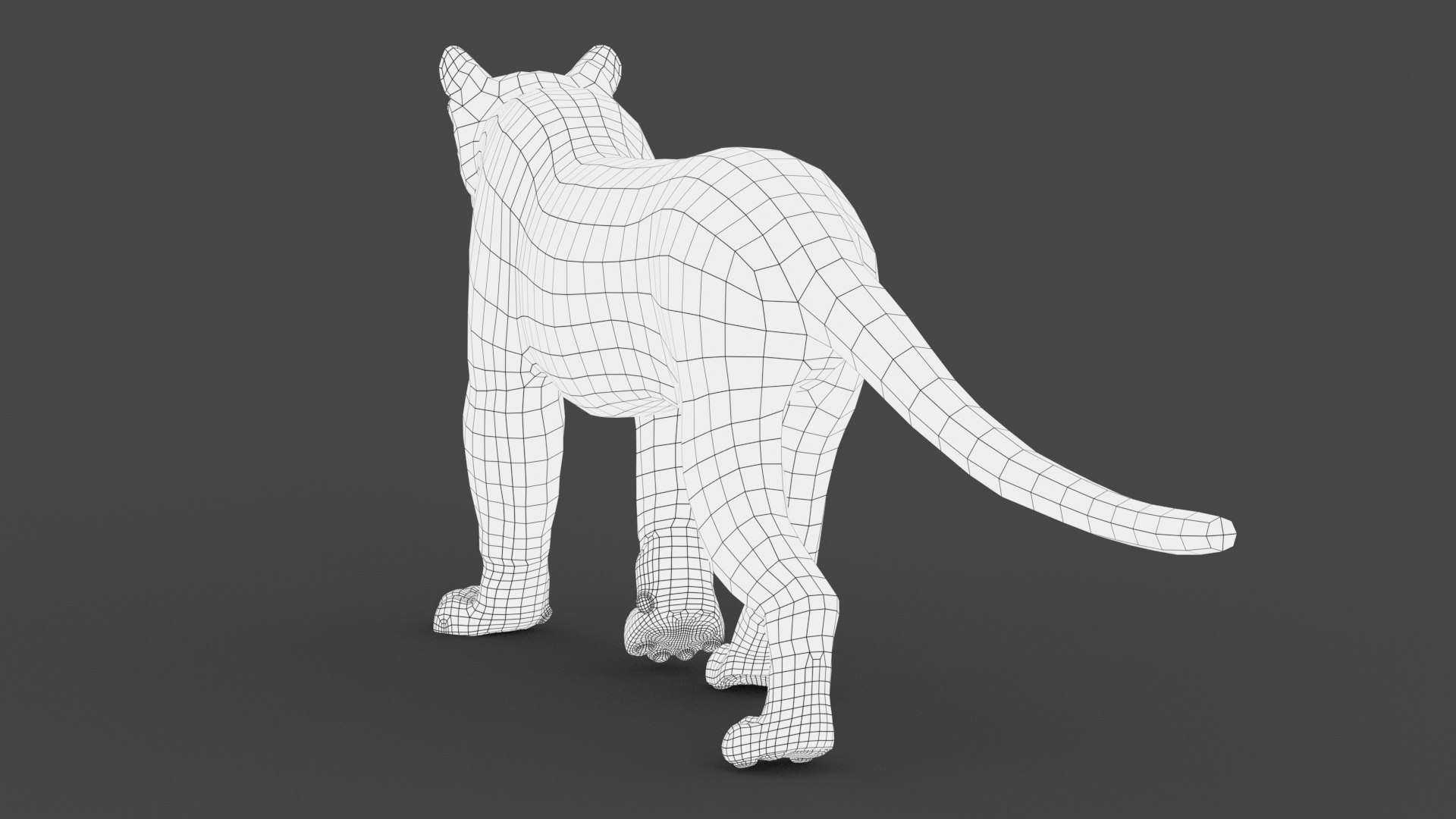 puma fur animation cat 3d model https://p.turbosquid.com/ts-thumb/s9/Eihx1i/PxbYPN2M/wire_cougar3dmodel03/jpg/1600676509/1920x1080/fit_q87/1a3354beb62d2e9d44941adc421beb2b41207484/wire_cougar3dmodel03.jpg