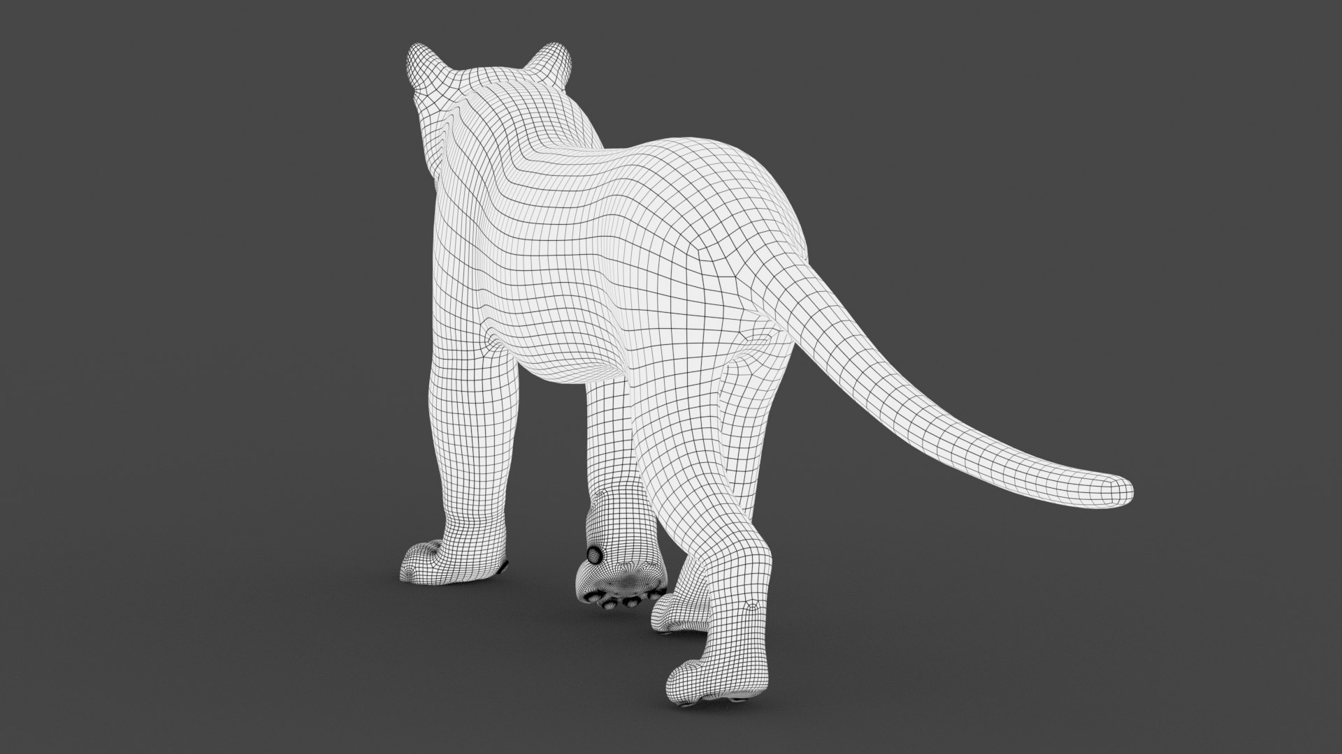 puma fur animation cat 3d model https://p.turbosquid.com/ts-thumb/s9/Eihx1i/Rkd7gBhv/wire_cougar3dmodel04/jpg/1600676509/1920x1080/fit_q87/bc25f2c592eab6f7f1afe140de07b5ac61eeceab/wire_cougar3dmodel04.jpg