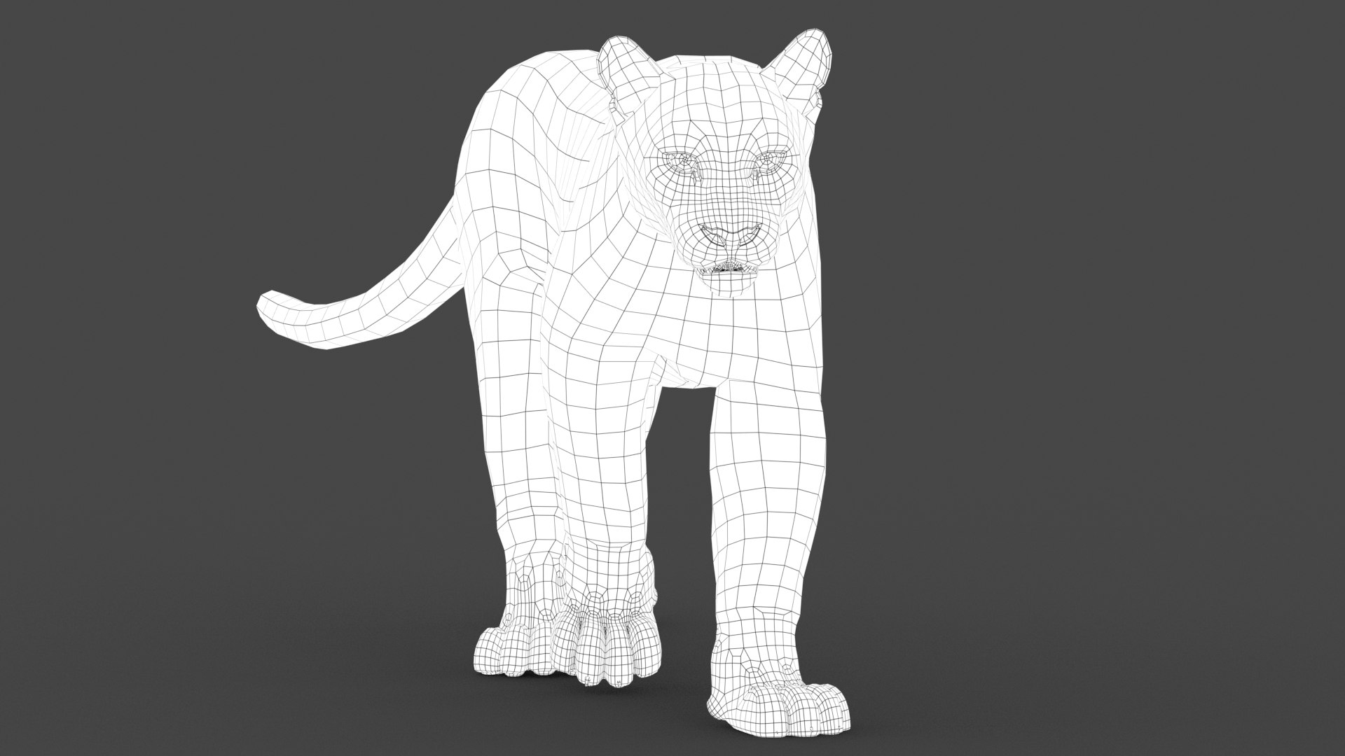 puma fur animation cat 3d model https://p.turbosquid.com/ts-thumb/s9/Eihx1i/epIlCGl7/wire_cougar3dmodel01/jpg/1600676510/1920x1080/fit_q87/2c09e0b56bfb4a9cffb12f514bf7cdd9698f53b3/wire_cougar3dmodel01.jpg