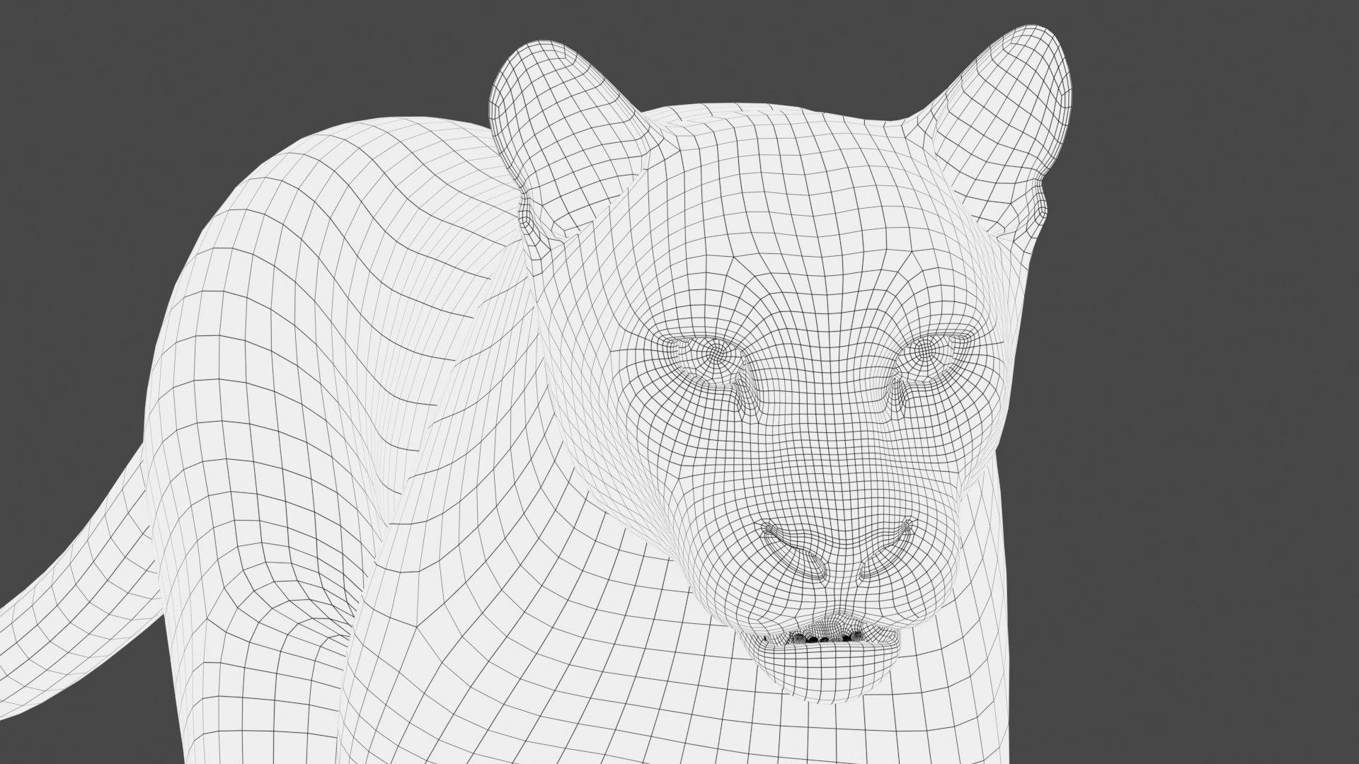 puma fur animation cat 3d model https://p.turbosquid.com/ts-thumb/s9/Eihx1i/mQXm5DAa/wire_cougar3dmodel06/jpg/1600676514/1920x1080/fit_q87/f2e1bc30b728a7576babee5e468bc99b31dbf70d/wire_cougar3dmodel06.jpg