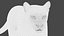 Puma Animated Fur