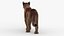 Puma Animated Fur