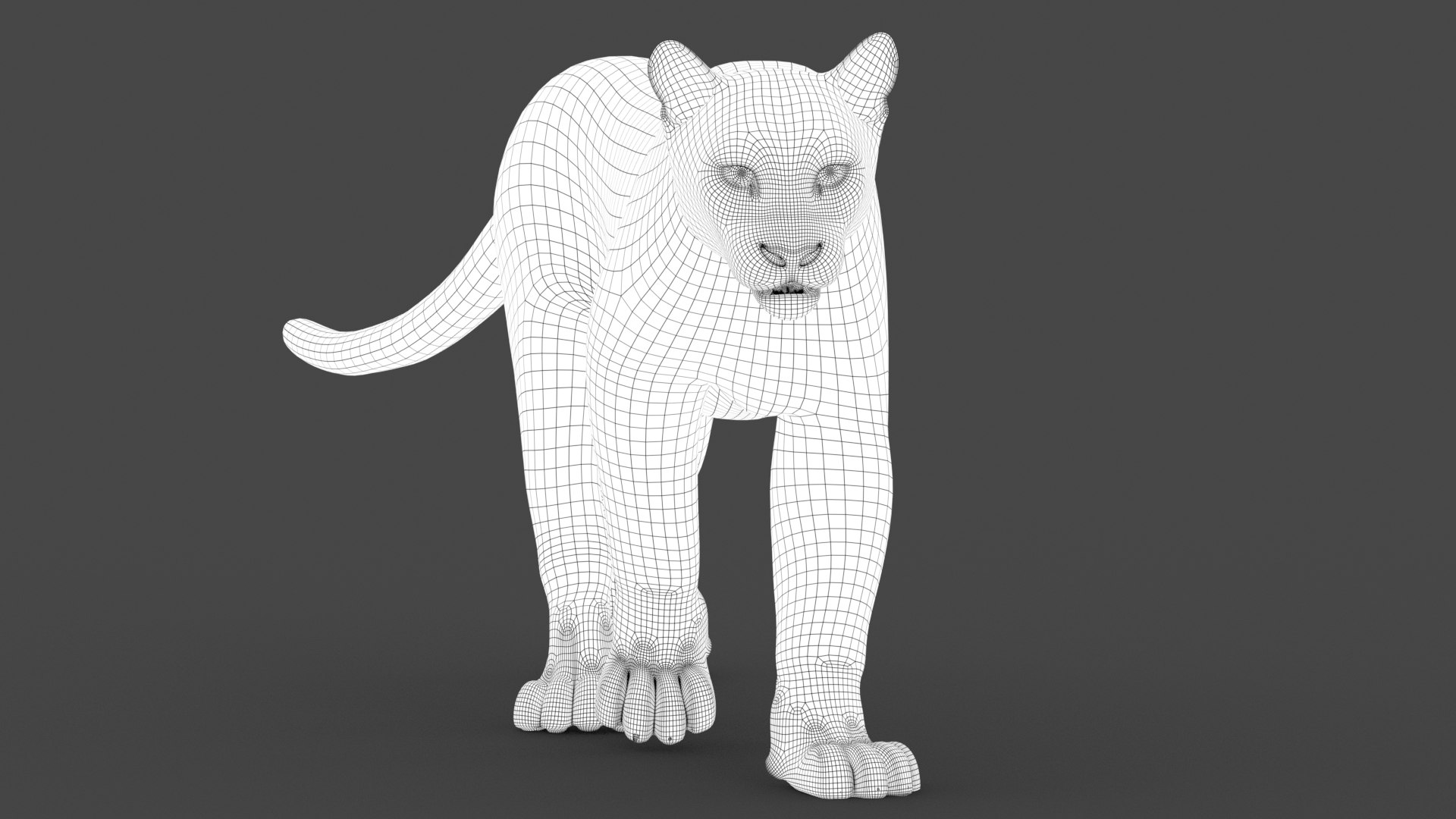 puma fur animation cat 3d model https://p.turbosquid.com/ts-thumb/s9/Eihx1i/vVQHe0ge/wire_cougar3dmodel02/jpg/1600676509/1920x1080/fit_q87/0dfa4092b13f35b6c4fb9052e39557bfd2af0e79/wire_cougar3dmodel02.jpg
