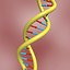 DNA