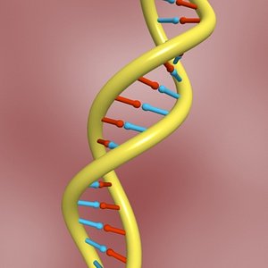 DNA