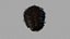 Capelli neri