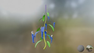 Pitcher Plant 3D model