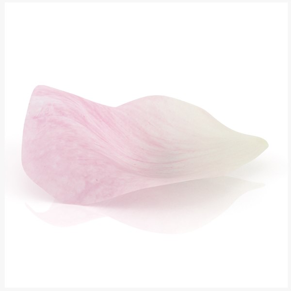 3D Rose petal pink model