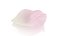Rose petal pink romantic decor