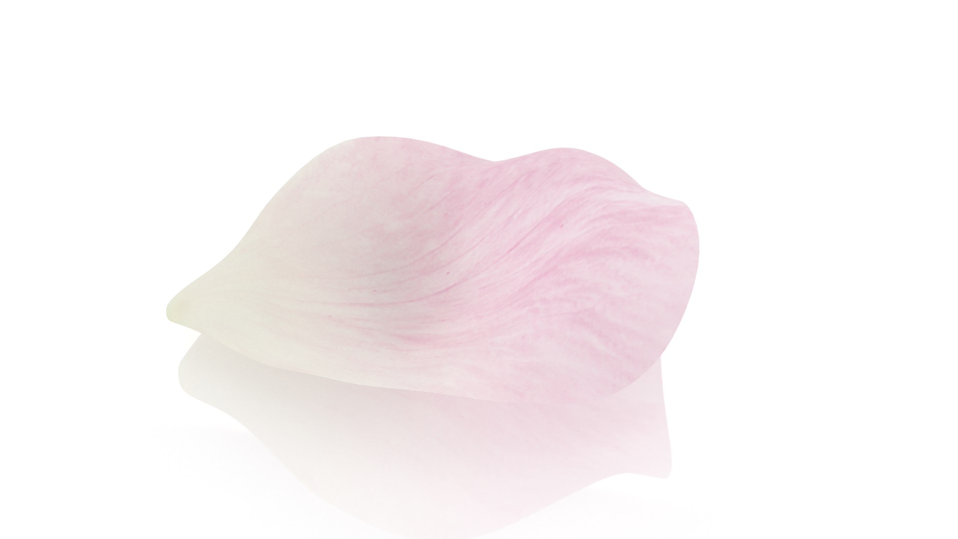 3D Rose petal pink model https://p.turbosquid.com/ts-thumb/s9/SY7waX/eL/4/png/1655215185/1920x1080/fit_q87/cf71d89fbe13824fad40c332ad9f3101f76d6071/4.jpg