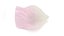 Rose petal pink romantic decor