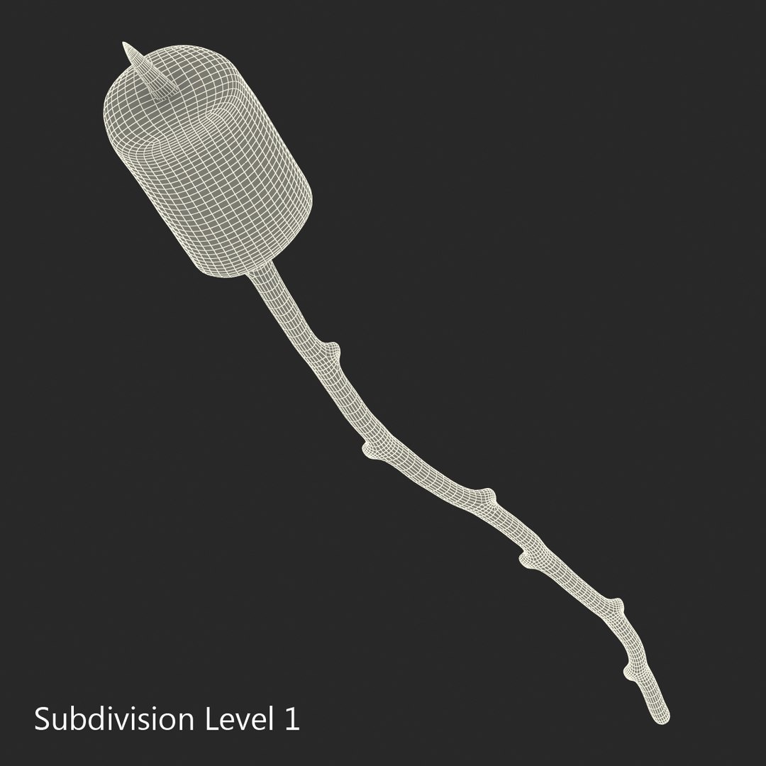 marshmallow stick 3d c4d https://p.turbosquid.com/ts-thumb/s9/XkTHtO/sg7kKodP/marshmallowonastick3dmodel16/jpg/1452854225/1920x1080/fit_q87/4d13be6ea61e2effc7e092c5a110b414bb8bd1ec/marshmallowonastick3dmodel16.jpg