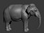 Elefante
