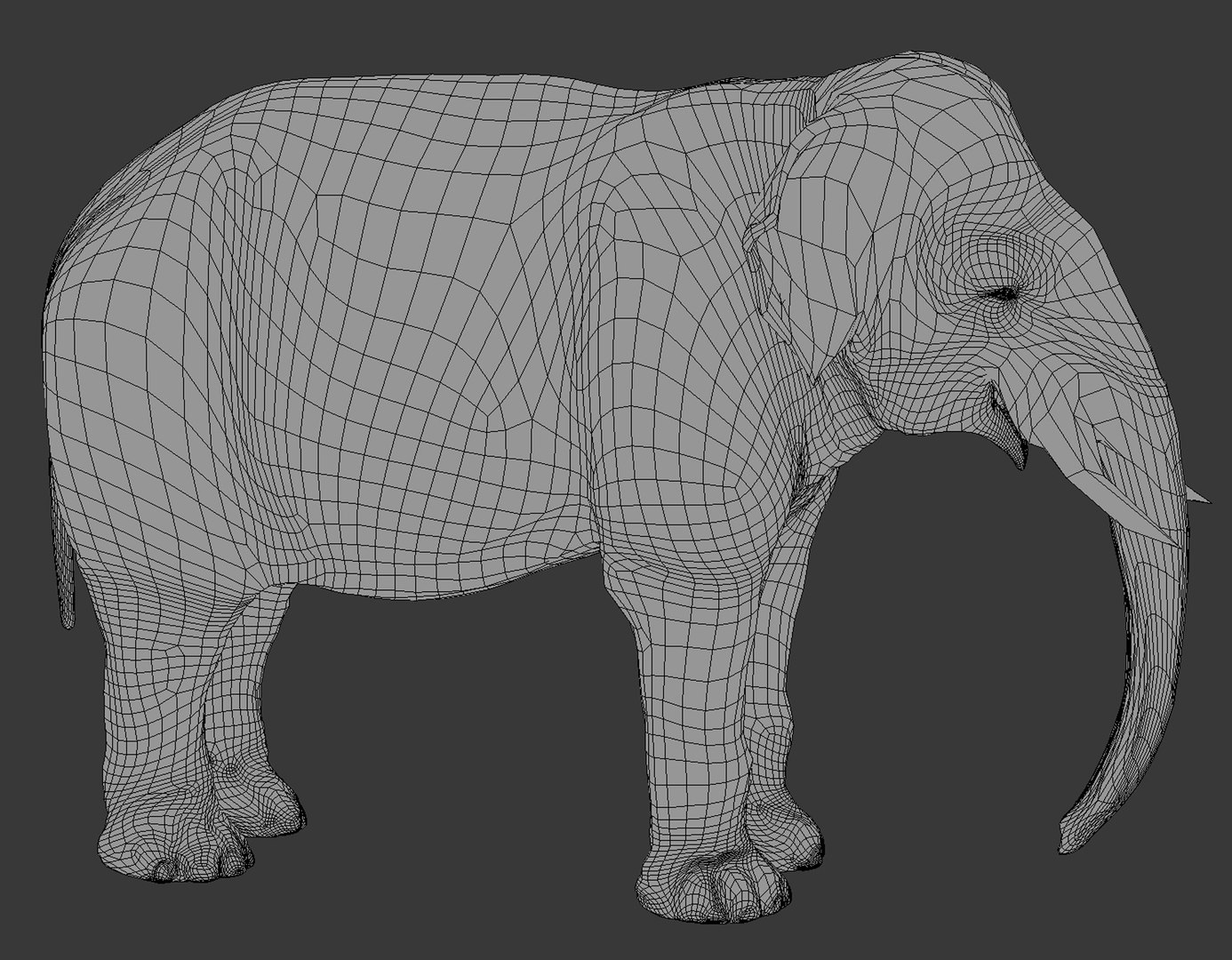 3D animal elephant model https://p.turbosquid.com/ts-thumb/s9/aMG5Xz/Oq/wire/jpg/1633287163/1920x1080/fit_q87/4f9a362b22b2881e1f70c284b579f3a6009c7211/wire.jpg