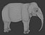Elefante