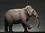 Elefante