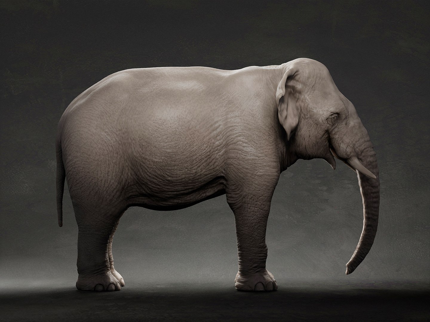 3D animal elephant model https://p.turbosquid.com/ts-thumb/s9/aMG5Xz/qo/3/jpg/1633286899/1920x1080/fit_q87/96dfdee02639882bd45ccfd861e7267a02457386/3.jpg