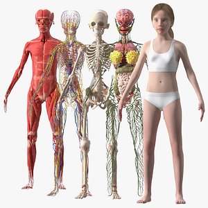 Complete Full Body Kid Girl Anatomy Fur