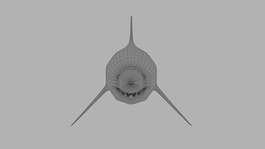 Shark