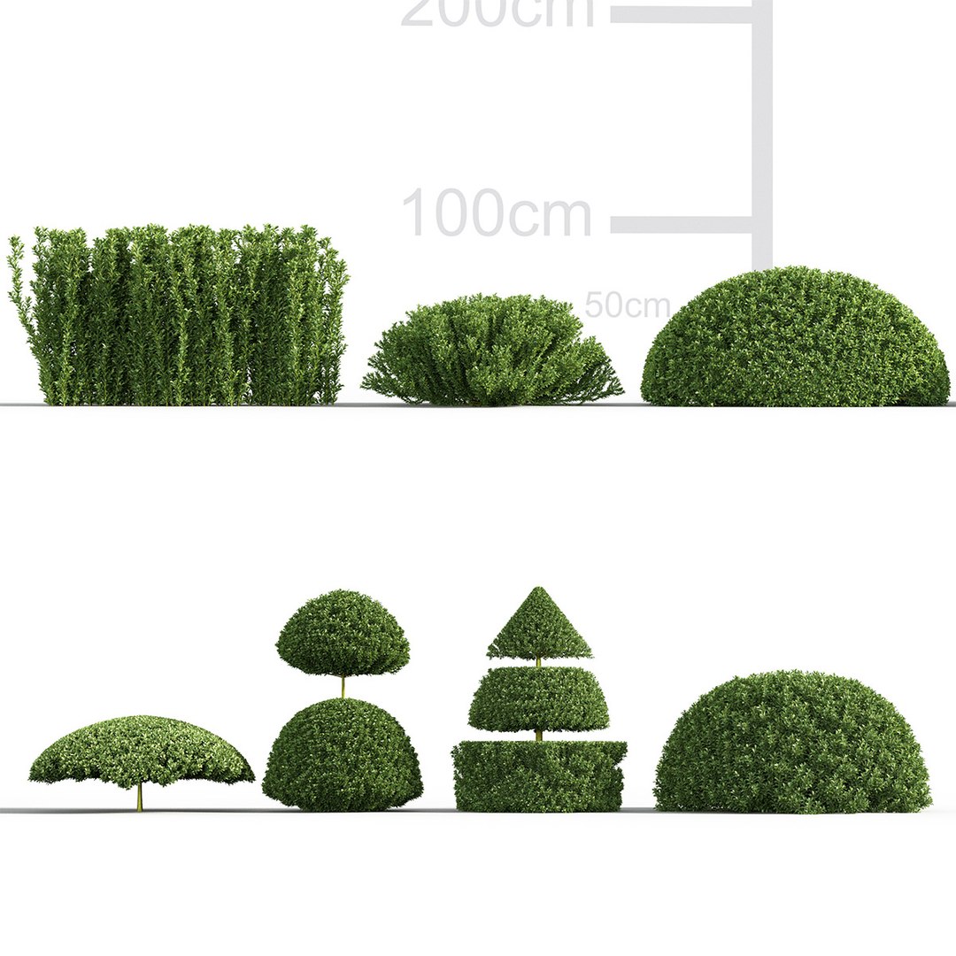 3D Euonymus japonicus - Japanese Spindle Tree 3D model https://p.turbosquid.com/ts-thumb/s9/mYjU8B/bA/gd_v22_euonymus_japonicus_tb/jpg/1787323158/1920x1080/fit_q87/7d3d8060b616a4283e67601e30d9b78311e304e4/gd_v22_euonymus_japonicus_tb.jpg