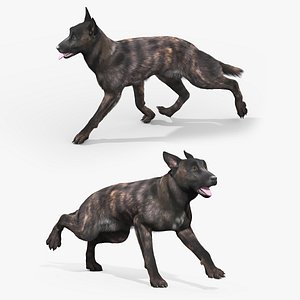 Dutch Shepherd Dog Fur Set Animated Rigged For Maya