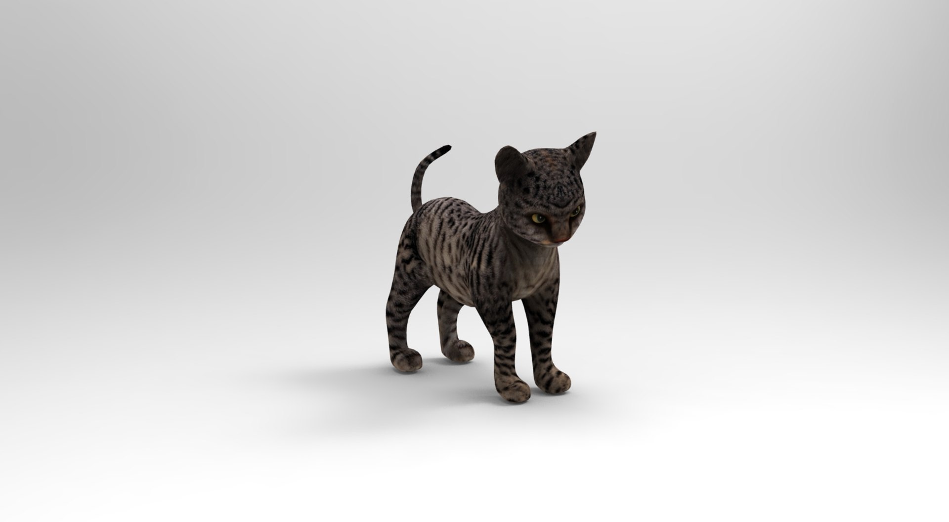 Cat Rigged Animation Model - TurboSquid 1204528